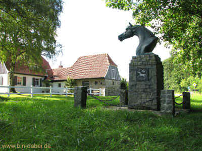 Black Beauty 21-08-10 6371.jpg (98804 Byte)