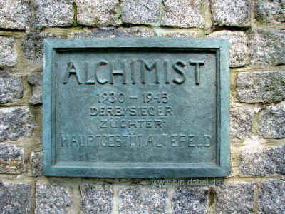 Black Beauty 21-08-10 6375.jpg (98855 Byte)