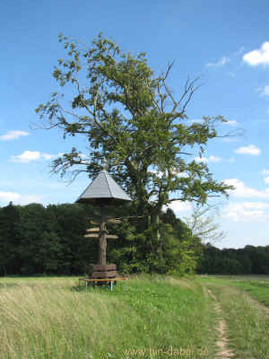 Wohin der Weg uns fuehrt 21-08-10 6378.jpg (99898 Byte)