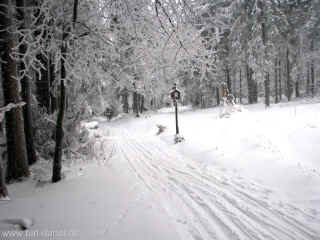 Am Kreuz -  Rennsteig 03-01-10 1624.jpg (97268 Byte)