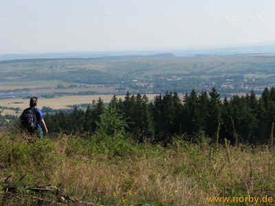 Brandkopf-41 31-07-10 6041.jpg (97342 Byte)