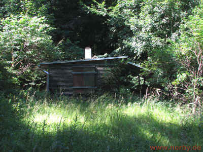 Foerster- Schwarz- Quelle 25-07-10 5988.jpg (99655 Byte)