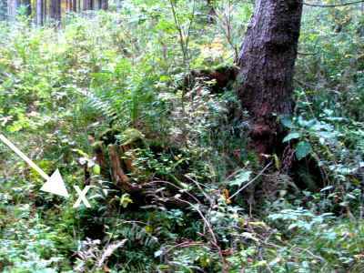 Bergbau Spuren II 10-10-2010-.jpg (435211 Byte)