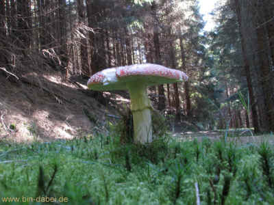 Technisches KO 7644 10-10-2010.jpg (98178 Byte)