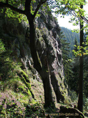 Koppenstein 23-09-2010 7223.jpg (98343 Byte)