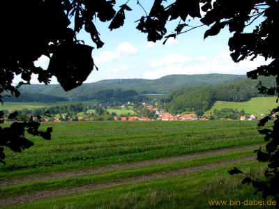 Mosbach Puzzle 05-09-2010 6694.jpg (98610 Byte)