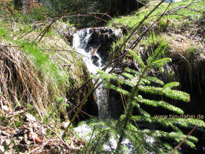 Irgendwo am Steiger 18-04-10 2913.jpg (99611 Byte)