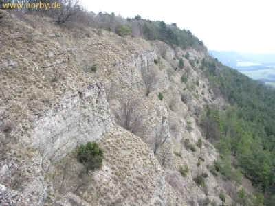 Kleiner Hoerselzwerg 05-04-10 2613.jpg (97823 Byte)