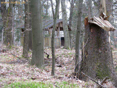 Kreuzung mit Ausblick 05-04-10 2650.jpg (99797 Byte)