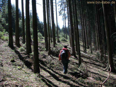 Otto Vier Schanze -Replay 17-04-10 2775.jpg (98945 Byte)