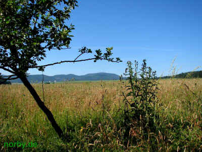 Alt Germanische Kultstaette 27Juni2010 4919.jpg (98777 Byte)