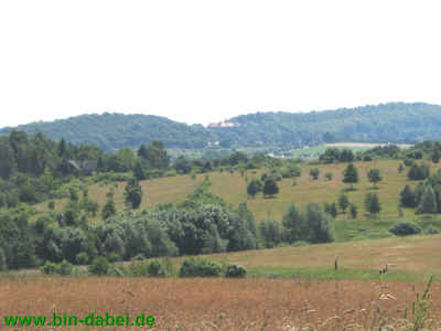 Alt Germanische Kultstaette 27Juni2010 4971.jpg (95921 Byte)