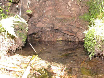 Striemelsberg 13Juni2010 4704.jpg (98238 Byte)