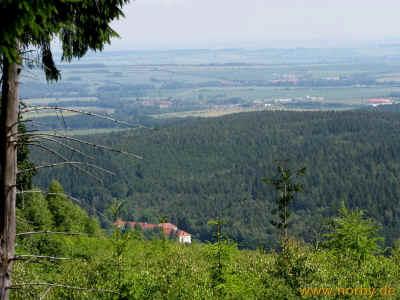 Zimmerberg II 18-Juni-2010 4753.jpg (97240 Byte)