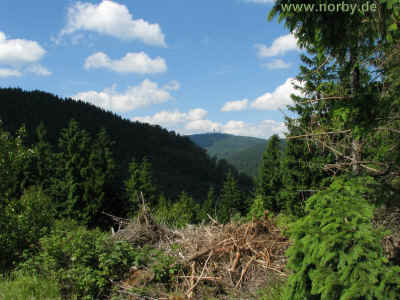 Zimmerberg II 18-Juni-2010 4756.jpg (98724 Byte)