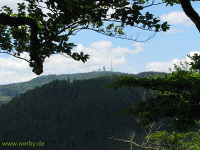 Zimmerberg II 18-Juni-2010 4784.jpg (96277 Byte)