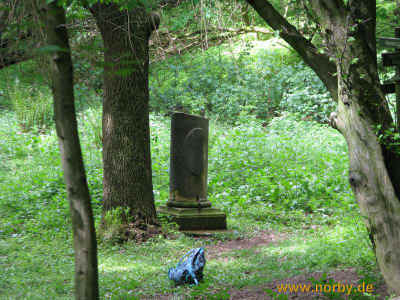 Heerleinsgrab 16-05-10 3212.jpg (96203 Byte)