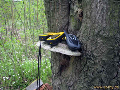 Im Eichenhain 16-05-10 3287.jpg (374208 Byte)