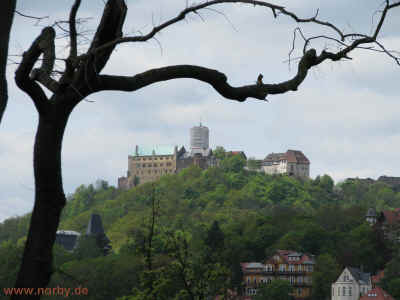 LKA 16-05-10 3251.jpg (96324 Byte)