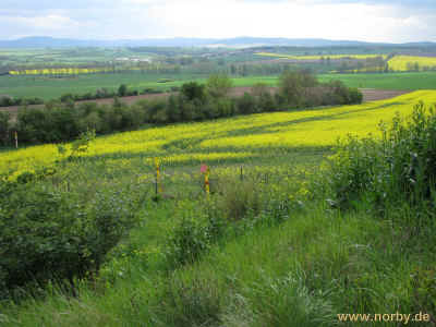 Leuchtberg 16-05-10 3362.jpg (98370 Byte)