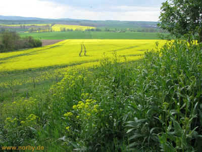 Leuchtberg 16-05-10 3365.jpg (97875 Byte)