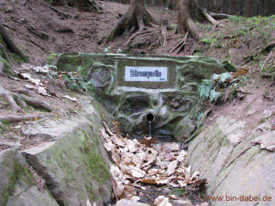 Baerenquelle 17-04-2011 0176.jpg (99329 Byte)