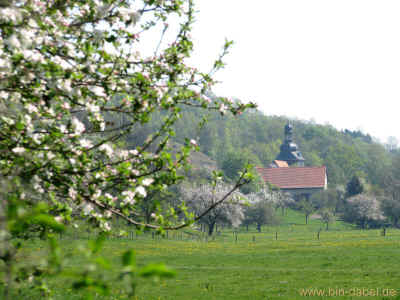Boeses Fleck am Hoerselberg 24-04-2011 0382.jpg (99853 Byte)