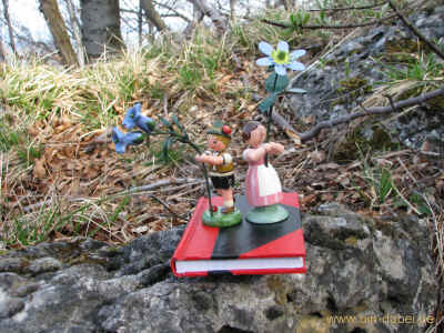 Dicelstein 03-04-2011 0004.jpg (366905 Byte)