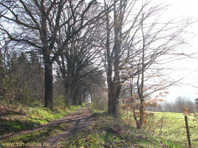 Fuerstenblick 02-04-2011 9857.jpg (99696 Byte)