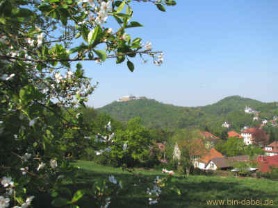 Via occulta am Hoerselberg 25-04-2011 0485.jpg (99013 Byte)