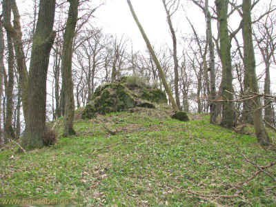 VulkanH 01-04-2011 9805.jpg (98808 Byte)