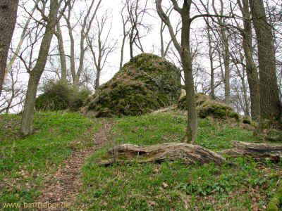 Vulkan S 01-04-2011 9808.jpg (99654 Byte)