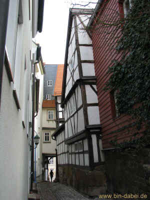 Moenchhof 06-02-2011 8108.jpg (97745 Byte)
