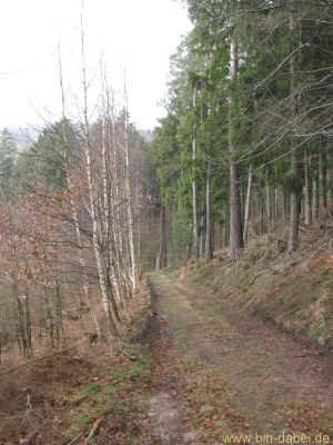 Clausberg-Rundwanderweg12 17-01-2011 7964.jpg (98631 Byte)