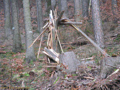 Clausberg-Rundwanderweg13 17-01-2011 7971.jpg (99038 Byte)