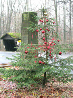 Clausberg-Rundwanderweg1 17-01-2011 7849.jpg (99651 Byte)