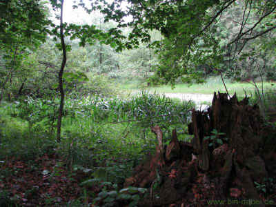 An der Weinstrasse 2-Hausfeldteich 17-07-11 2279.jpg (99831 Byte)