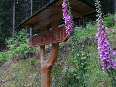 ikT-Bobbahn 1 10-07-2011 2212.jpg (99656 Byte)