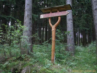 ikT-Waldkreuzung 10-07-2011 2194.jpg (97717 Byte)