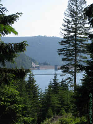 Am Weg 05-Juni-2011 1692.jpg (98228 Byte)