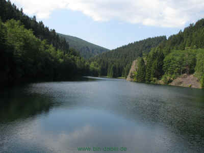 Am Weg 05-Juni-2011 1716.jpg (95222 Byte)