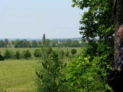 Das alte Baeumchen 04-Juni-2011 1588.jpg (99268 Byte)