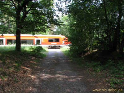 Das alte Baeumchen 04-Juni-2011 1595.jpg (335553 Byte)