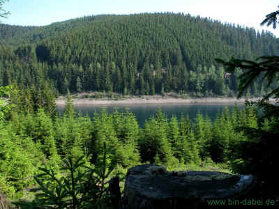 Der Blick vom Stamm 05-Juni-2011 1647.jpg (98508 Byte)