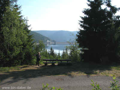 Der Blick vom Stamm 05-Juni-2011 1658.jpg (99575 Byte)