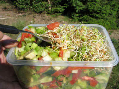 Der Blick vom Stamm 05-Juni-2011 1676.jpg (98798 Byte)