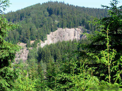 Der Blick vom Stamm 05-Juni-2011 1688.jpg (99849 Byte)