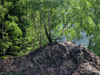 Die Bank 05-Juni-2011 1762.jpg (99425 Byte)