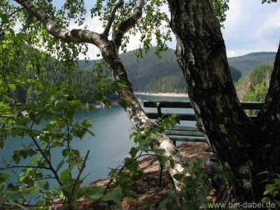 Die Bank 05-Juni-2011 1774.jpg (99732 Byte)