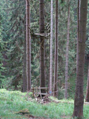 Hist-Bodendenkmale 03-Juni-2011 1414.jpg (99896 Byte)